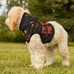 Halloween Pet Hoodie - Spooky Pumpkin Design, Dog Costume, Pet Apparel, Cat Outfit, Trick or Treat Hoodie