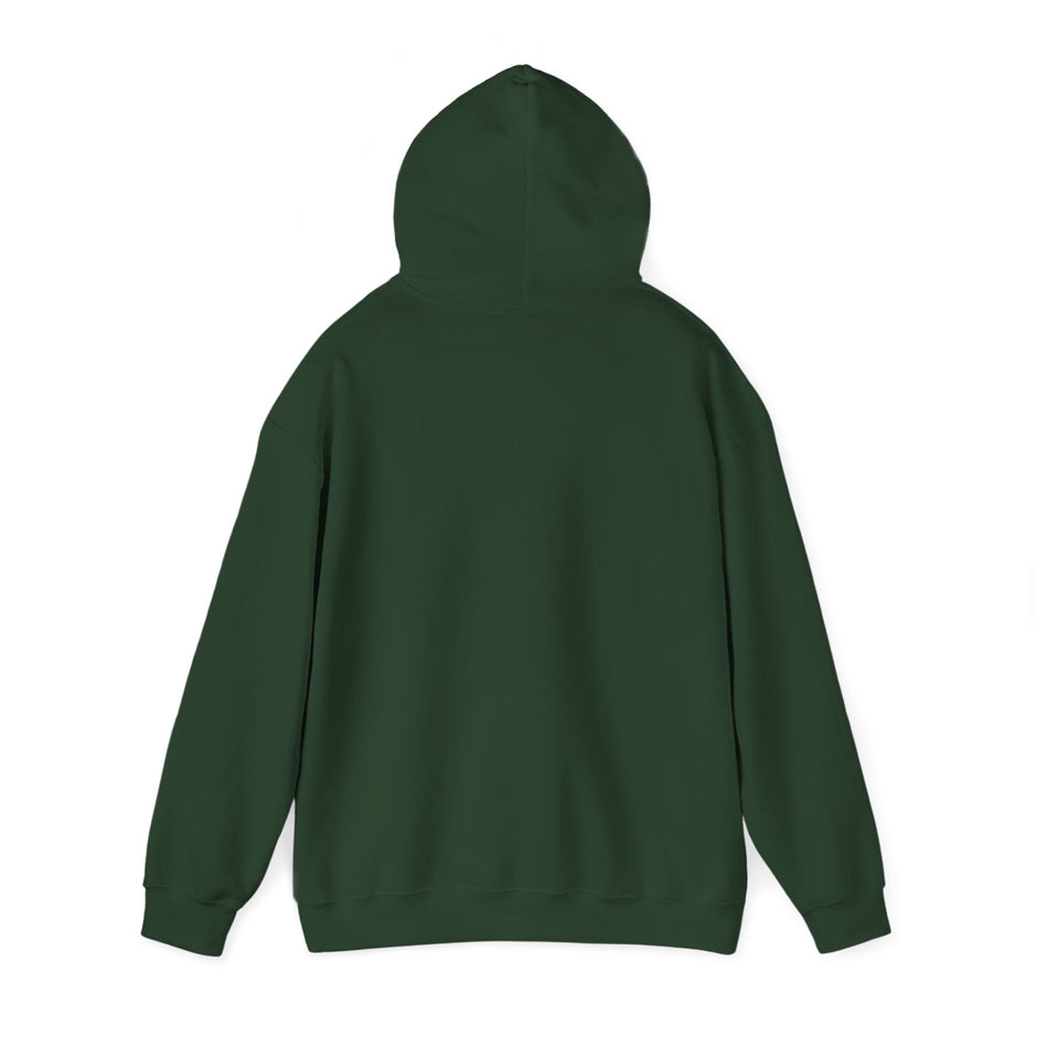 Halloween Spider Fun Spooky Unisex Hoodie for Veterans Support, Sweatshirt, Hoodie, Halloween Party Shirt, Halloween Costume Hoodie,