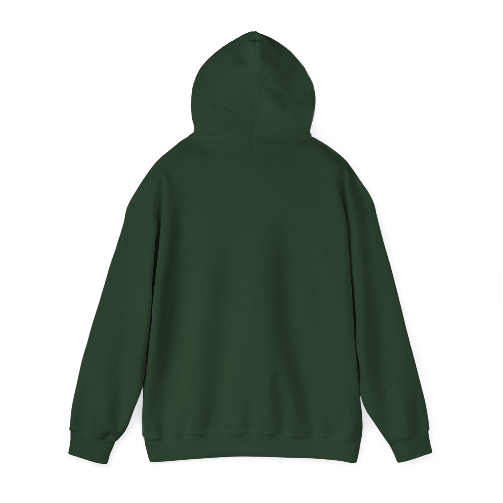 Halloween Spider Fun Spooky Unisex Hoodie for Veterans Support, Sweatshirt, Hoodie, Halloween Party Shirt, Halloween Costume Hoodie,