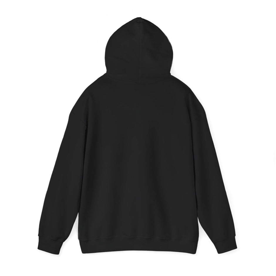 Halloween Spider Fun Spooky Unisex Hoodie for Veterans Support, Sweatshirt, Hoodie, Halloween Party Shirt, Halloween Costume Hoodie,