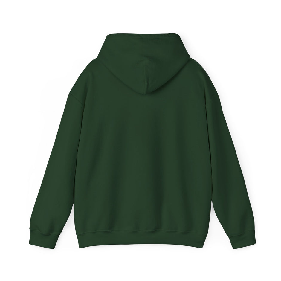 Halloween Spider Fun Spooky Unisex Hoodie for Veterans Support, Sweatshirt, Hoodie, Halloween Party Shirt, Halloween Costume Hoodie,