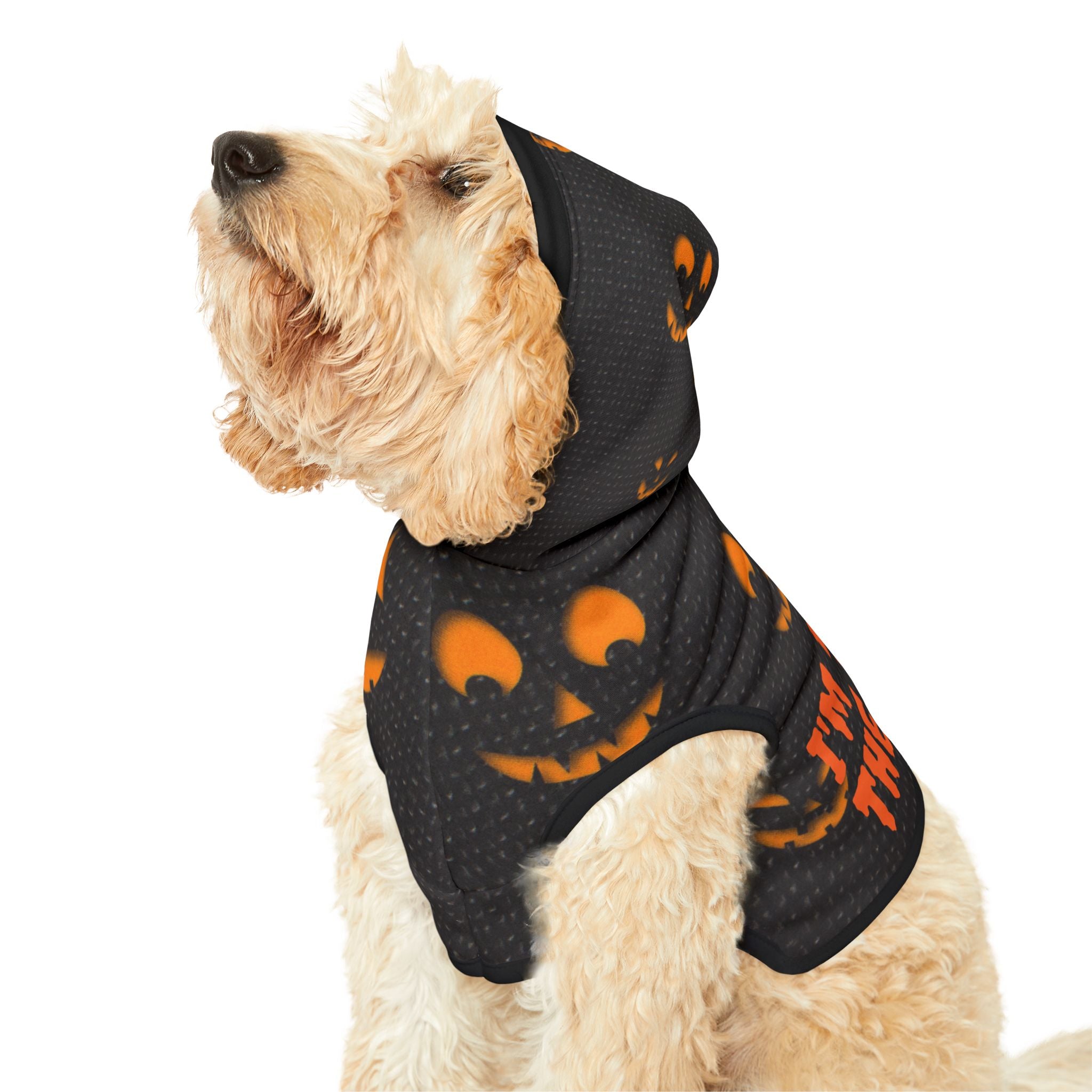 Halloween Pet Hoodie - Spooky Pumpkin Design, Dog Costume, Pet Apparel, Cat Outfit, Trick or Treat Hoodie