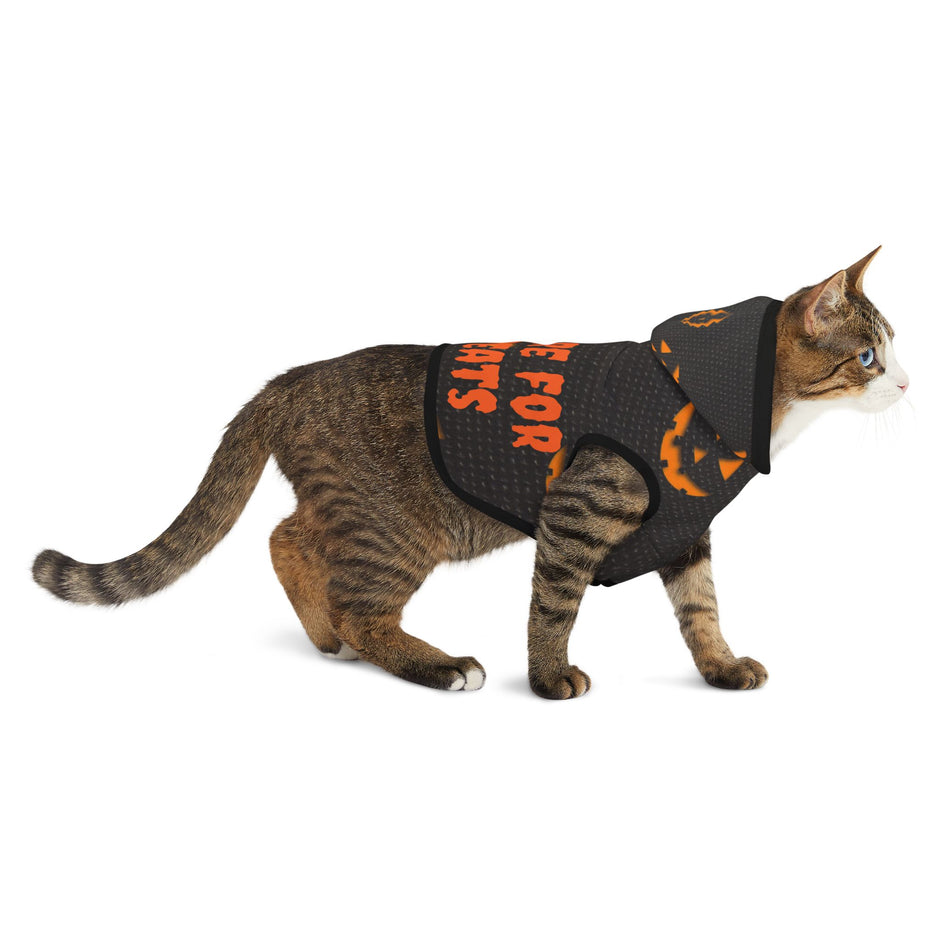 Halloween Pet Hoodie - Spooky Pumpkin Design, Dog Costume, Pet Apparel, Cat Outfit, Trick or Treat Hoodie