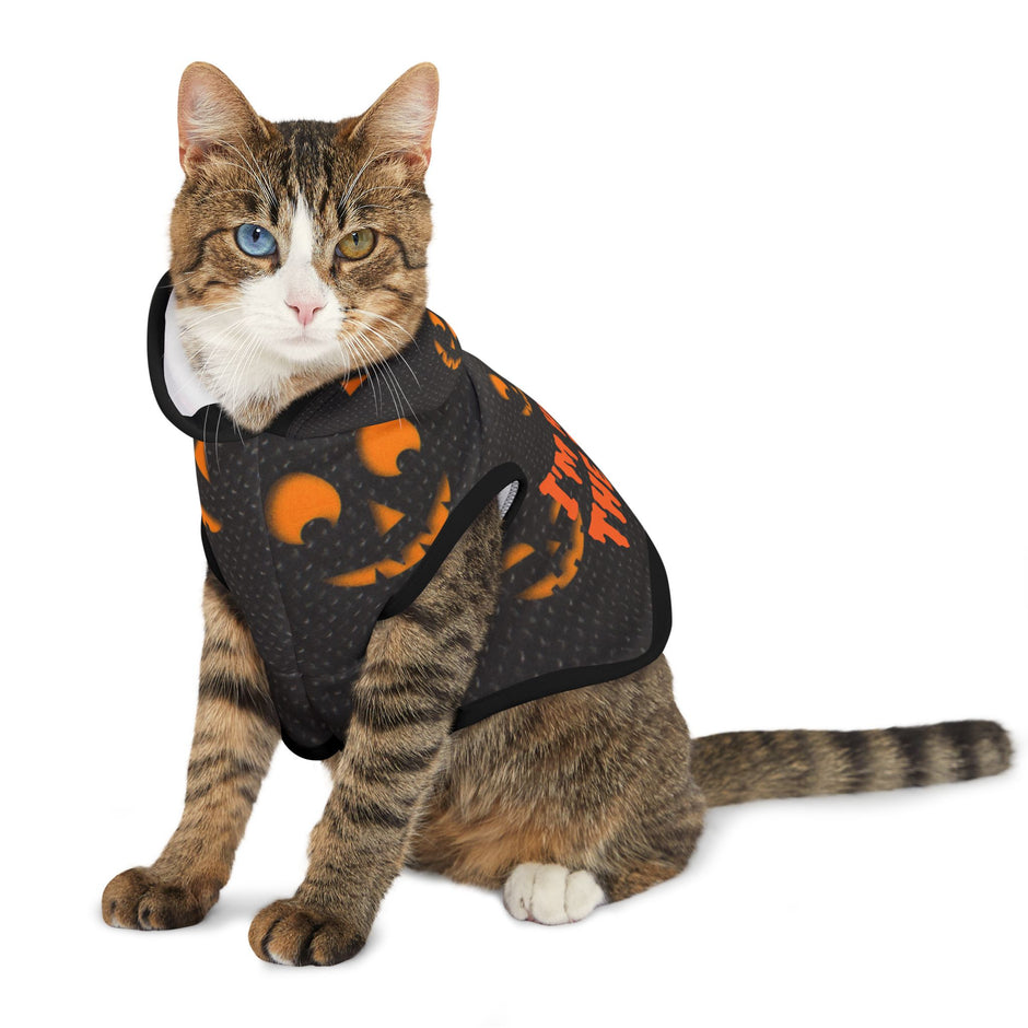 Halloween Pet Hoodie - Spooky Pumpkin Design, Dog Costume, Pet Apparel, Cat Outfit, Trick or Treat Hoodie