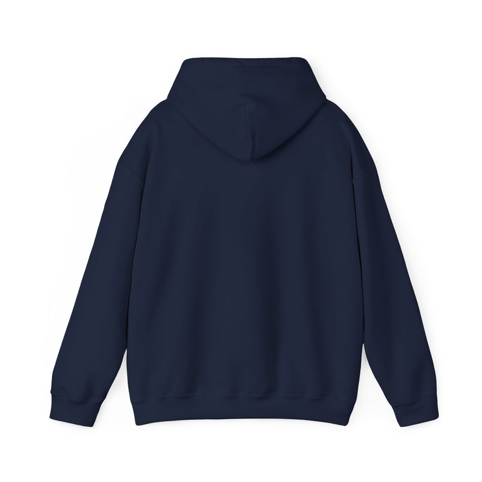 Halloween Spider Fun Spooky Unisex Hoodie for Veterans Support, Sweatshirt, Hoodie, Halloween Party Shirt, Halloween Costume Hoodie,