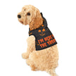 Halloween Pet Hoodie - Spooky Pumpkin Design, Dog Costume, Pet Apparel, Cat Outfit, Trick or Treat Hoodie