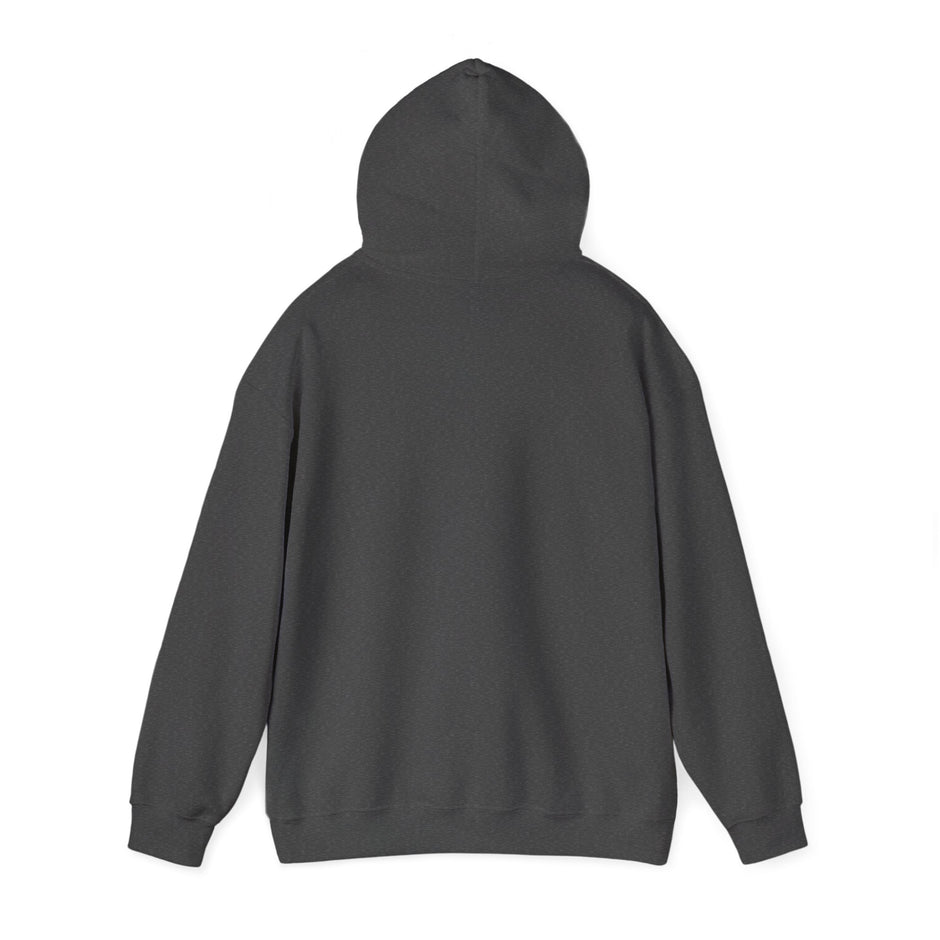 Halloween Spider Fun Spooky Unisex Hoodie for Veterans Support, Sweatshirt, Hoodie, Halloween Party Shirt, Halloween Costume Hoodie,