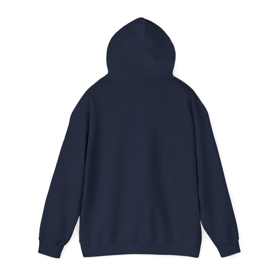 Halloween Spider Fun Spooky Unisex Hoodie for Veterans Support, Sweatshirt, Hoodie, Halloween Party Shirt, Halloween Costume Hoodie,