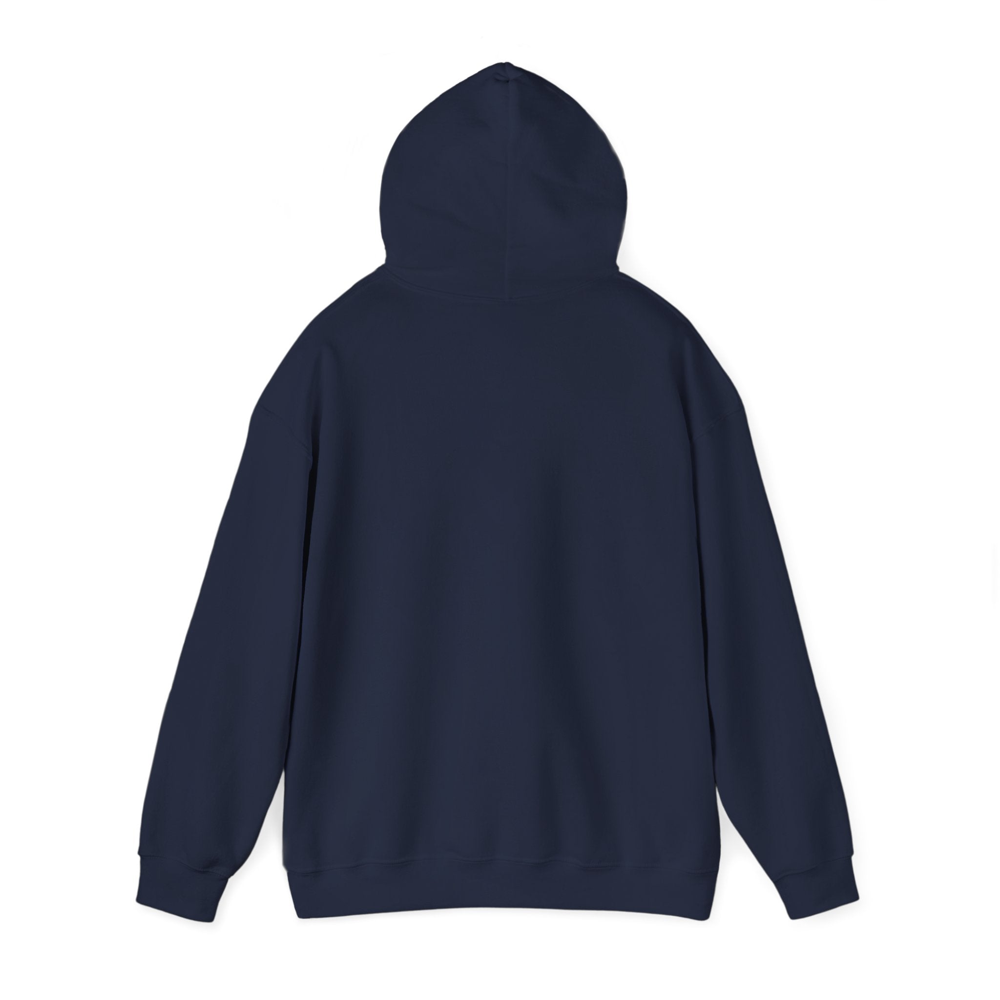 Halloween Spider Fun Spooky Unisex Hoodie for Veterans Support, Sweatshirt, Hoodie, Halloween Party Shirt, Halloween Costume Hoodie,