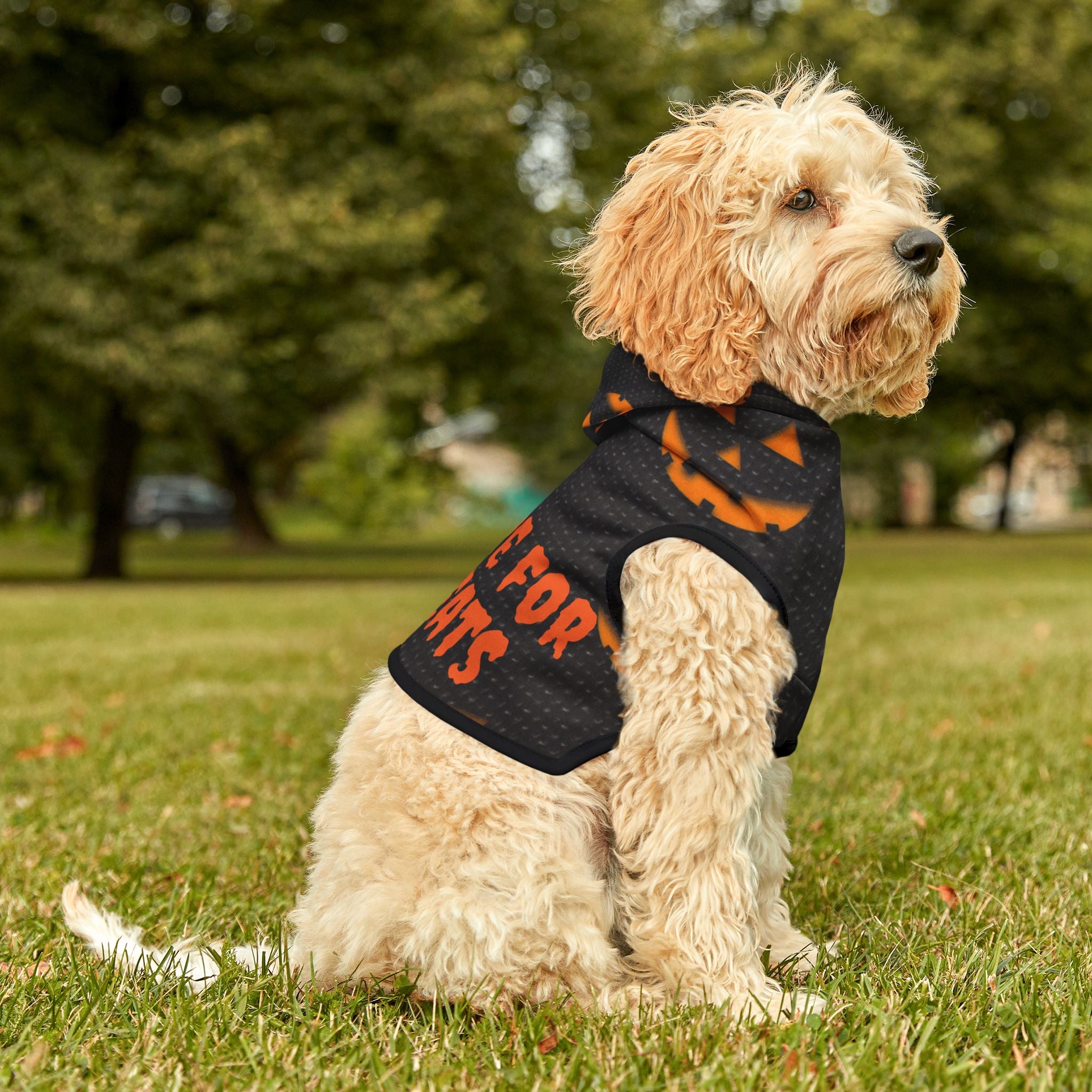 Halloween Pet Hoodie - Spooky Pumpkin Design, Dog Costume, Pet Apparel, Cat Outfit, Trick or Treat Hoodie